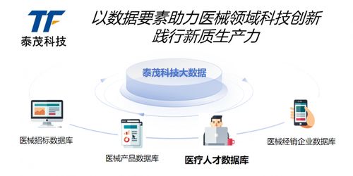 贯彻全国科技大会精神 泰茂科技以创新践行新质生产力，引领信息技术咨询服务